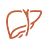 liver